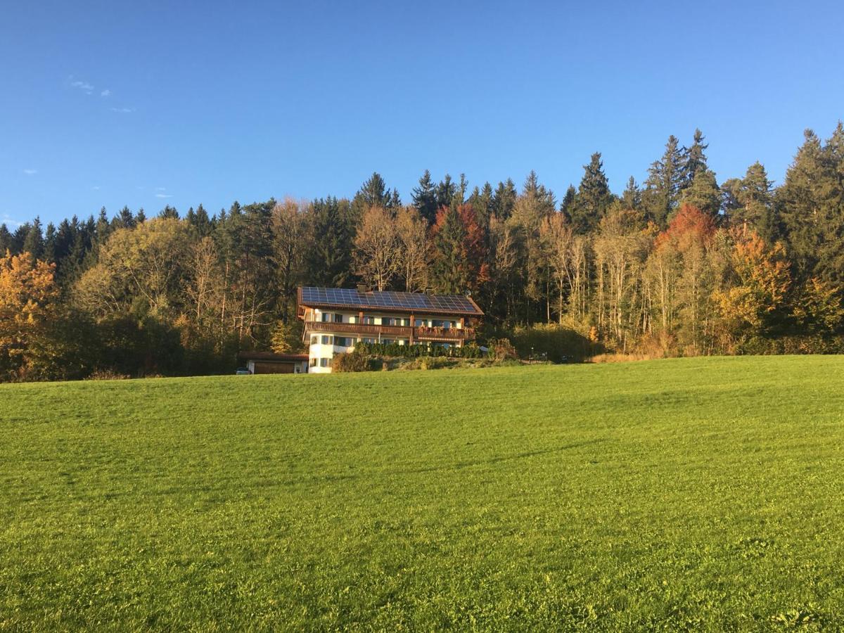 Ferienhaus Am Wald Apartment Friesenried Exterior photo