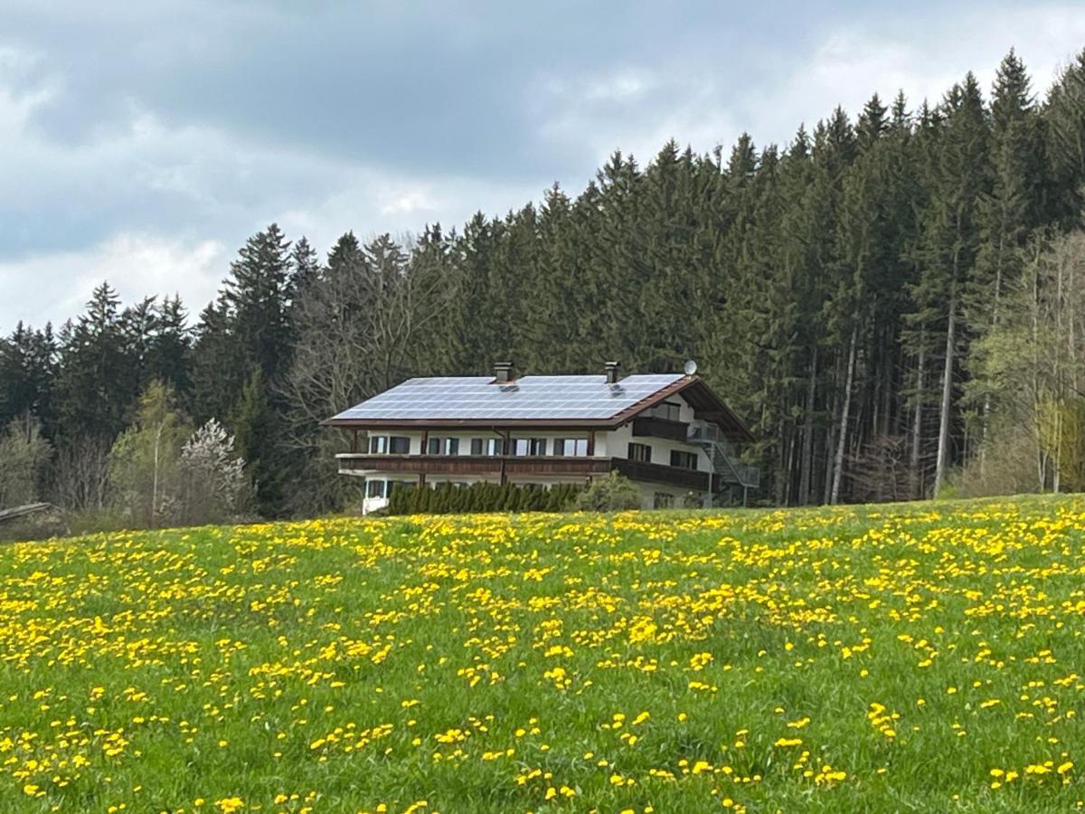 Ferienhaus Am Wald Apartment Friesenried Exterior photo